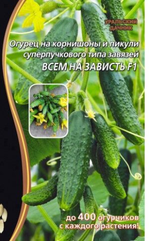 Огурец ВСЕМ НА ЗАВИСТЬ F1 5шт