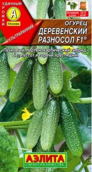 Огурец Деревенский разносол F1 10шт