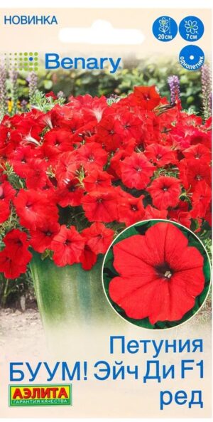 Петуния БУУМ! Эйч Ди F1 Ред 7шт