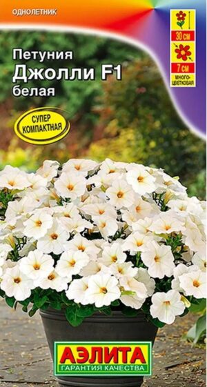Петуния Джолли белая F1 7шт