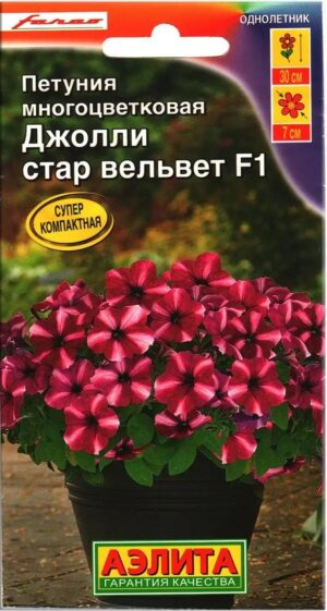 Петуния Джолли стар вельвет F1 5шт