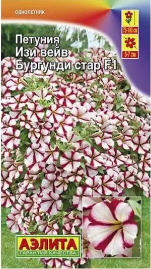 Петуния Изи вейв бургунди стар F1 4шт