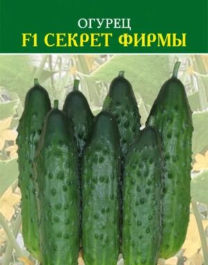 Огурец Секрет фирмы F1