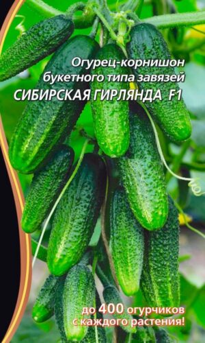 Огурец СИБИРСКАЯ ГИРЛЯНДА F1 5шт